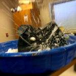 Moment of Implosion as captured by students cell phone. 